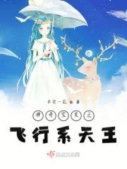 神奇宝贝之最强飞行系训练家
