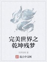 完美世界之乾坤残梦免费阅读