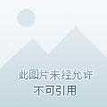 周越城叶轻轻名字