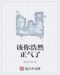 浩然正气下句