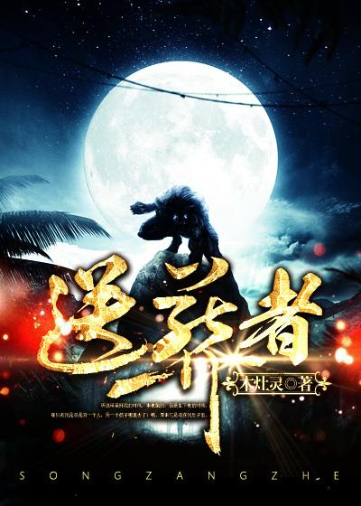送葬者陆上最强雇佣军