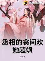 丞相的爱情全文免费阅读