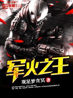 军火之王十一是什么