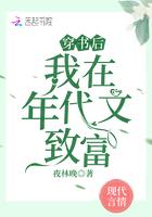 我在年代文致富夜枫林