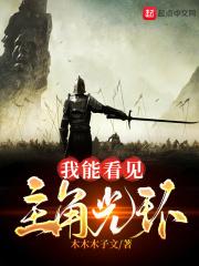 我能看见主角光环的
