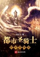 都市圣骑士的神圣物语免费阅读