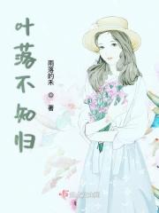 不知落叶归何处是什么意思